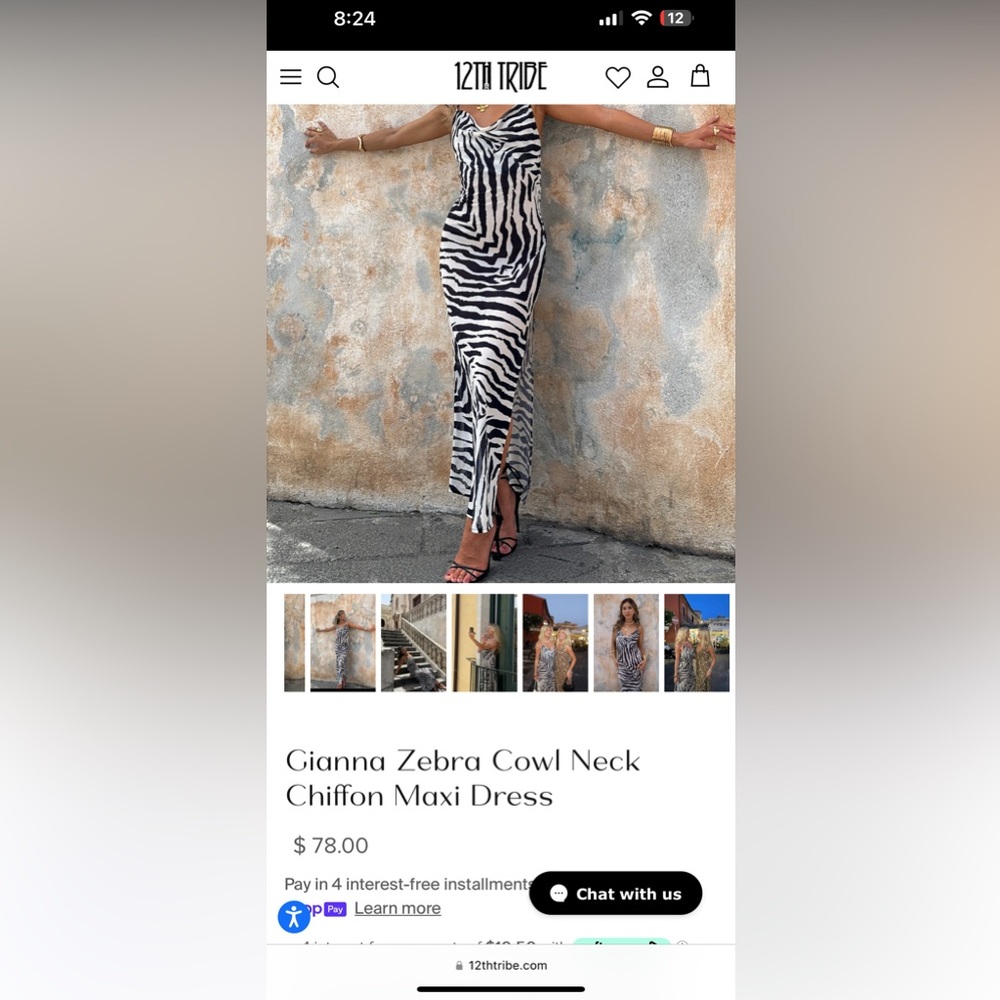 12th Tribe Zebra chiffon dress